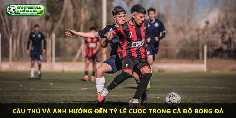 Cầu thủ và ảnh hưởng đến tỷ lệ cược trong cá độ bóng đá