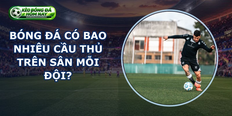 Bóng Đá Có Bao Nhiêu Cầu Thủ