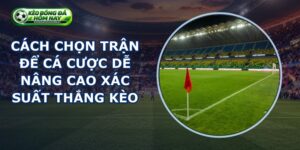 Cách Chọn Trận Để Cá Cược