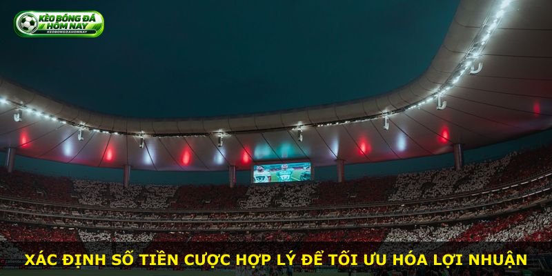Xác định số tiền cược hợp lý để tối ưu hóa lợi nhuận