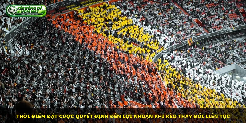 Thời điểm đặt cược quyết định đến lợi nhuận khi kèo thay đổi liên tục