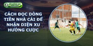 Cách Đọc Dòng Tiền Nhà Cái