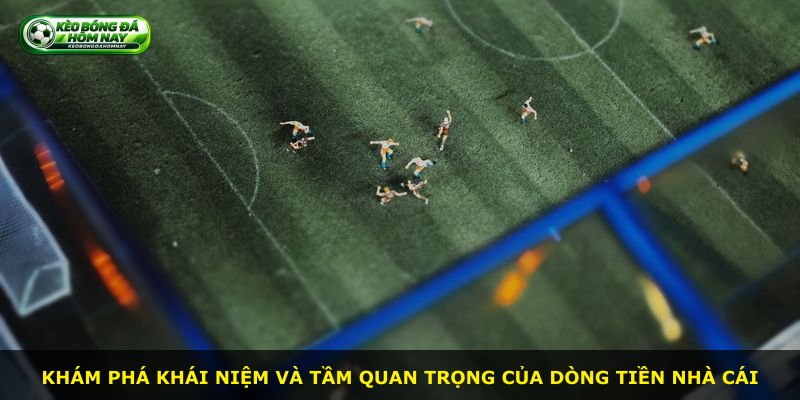 Khám phá khái niệm và tầm quan trọng của dòng tiền nhà cái