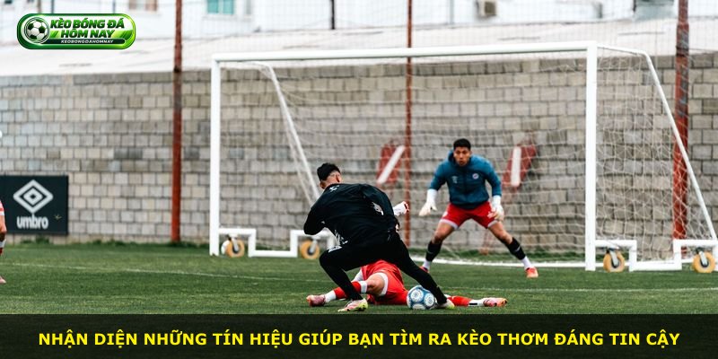 Nhận diện những tín hiệu giúp bạn tìm ra kèo thơm đáng tin cậy