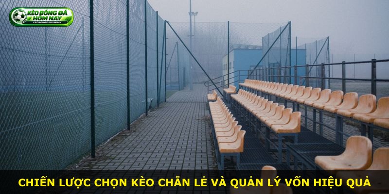 Chiến lược chọn kèo chẵn lẻ và quản lý vốn hiệu quả