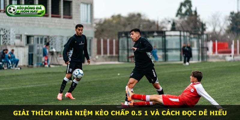 Giải thích khái niệm kèo chấp 0.5 1 và cách đọc dễ hiểu
