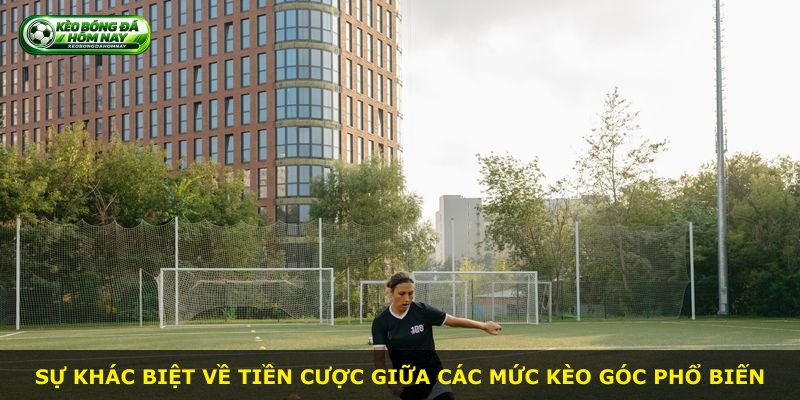 Sự khác biệt về tiền cược giữa các mức kèo góc phổ biến