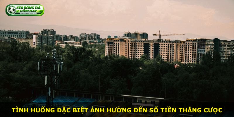 Tình huống đặc biệt ảnh hưởng đến số tiền thắng cược