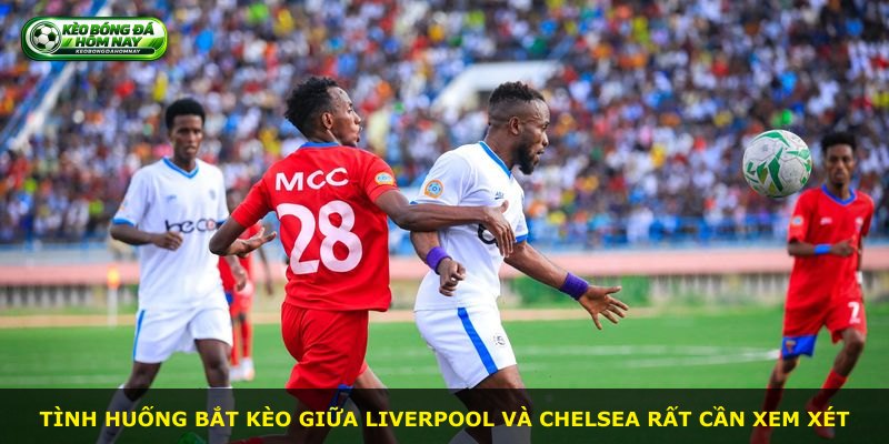 Tình huống bắt kèo giữa Liverpool và Chelsea rất cần xem xét