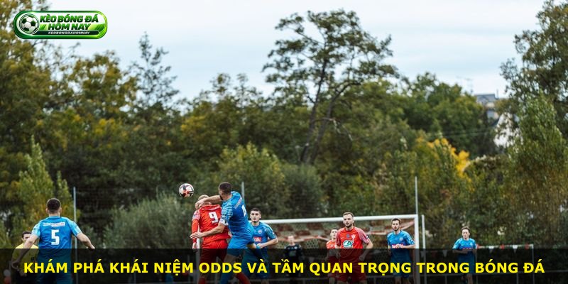 Khám phá khái niệm odds và tầm quan trọng trong bóng đá