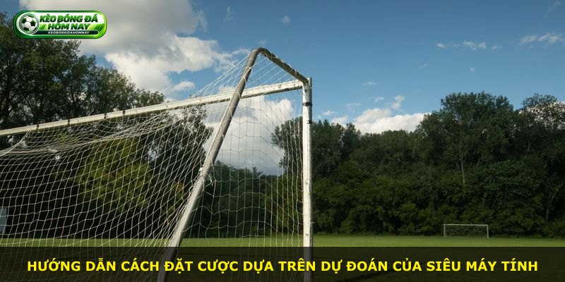 Hướng dẫn cách đặt cược dựa trên dự đoán của siêu máy tính